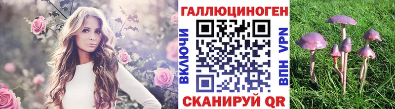 дарнет шоп Артёмовск Псилоцибиновые грибы Psilocybe