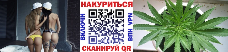 Каннабис планчик  Артёмовск 